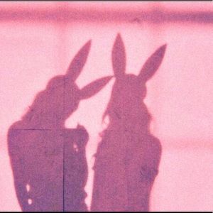 Meet your Posher, Polina